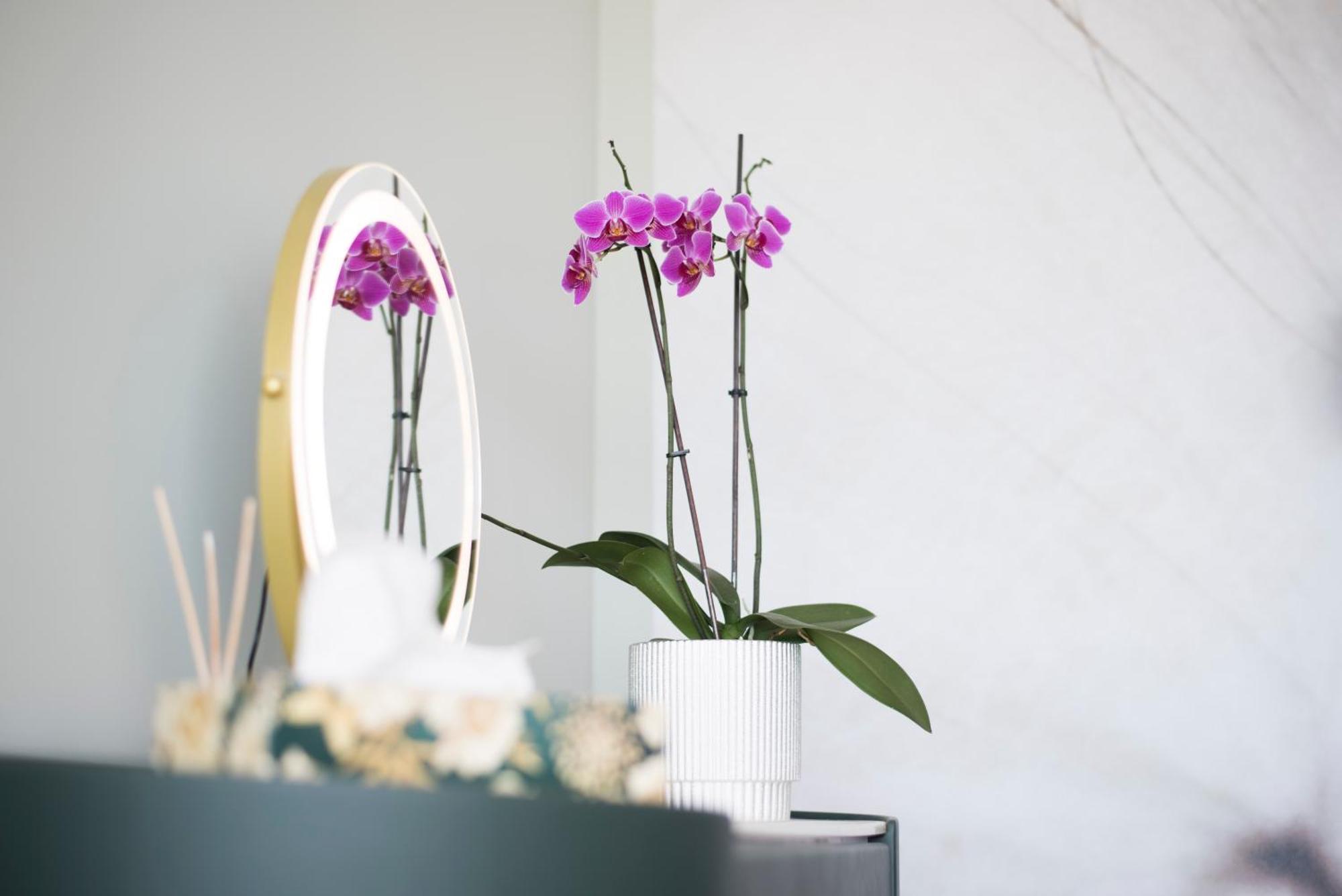 Horizont Apartman Alsoors Bagian luar foto